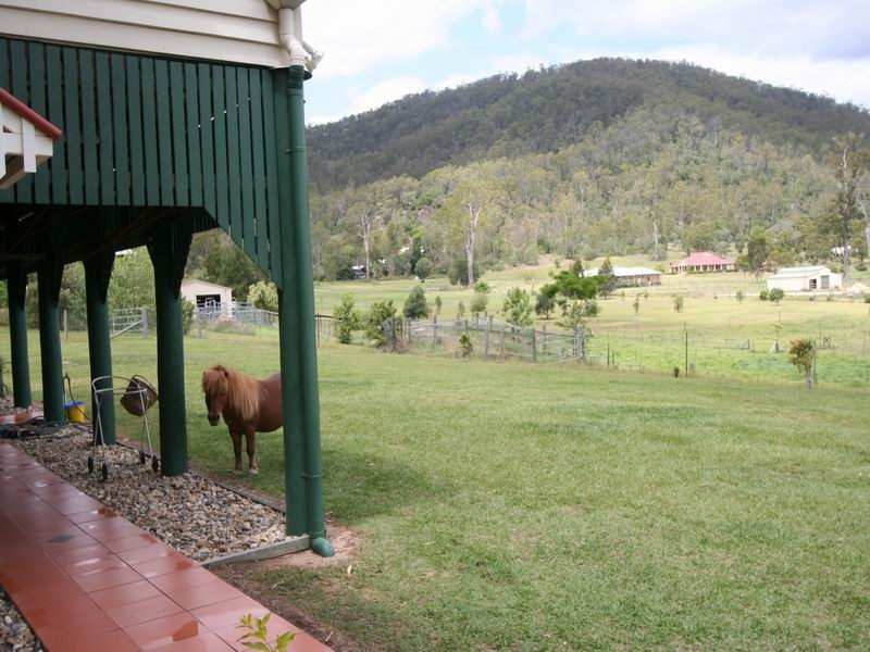 Camp Mountain QLD 4520