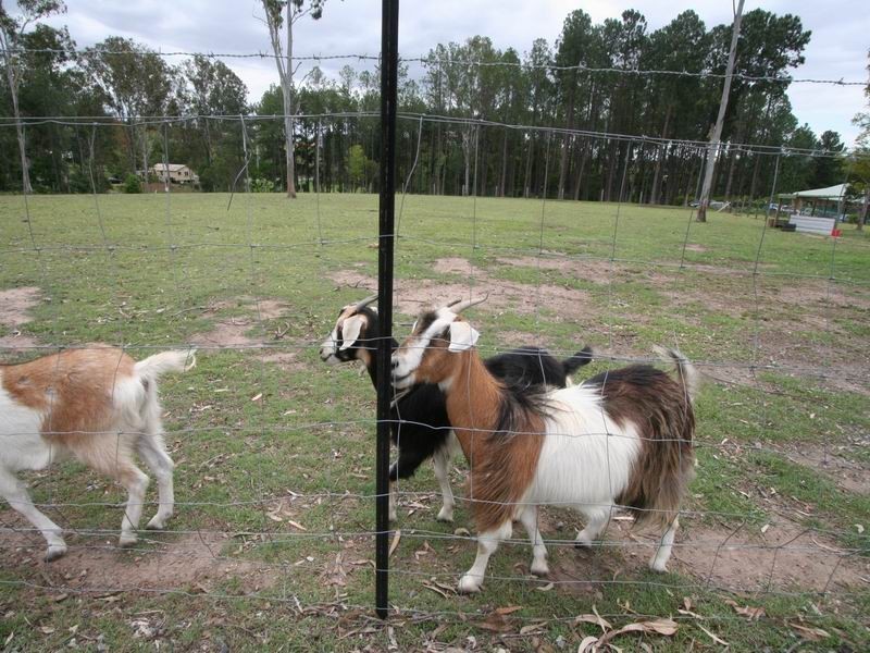 47 Camp Mountain Road, Camp Mountain QLD 4520