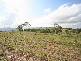 7 Grand View Drive, Ocean View QLD 4521