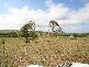 7 Grand View Drive, Ocean View QLD 4521