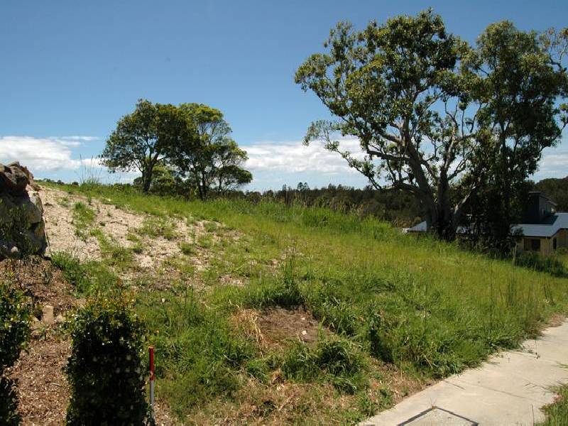 11 Euodia Avenue, Pottsville NSW 2489