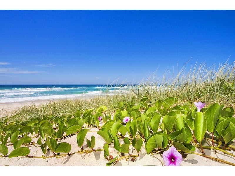 Unit 3, 201 “ZEN” Murphys Road, Kingscliff NSW 2487