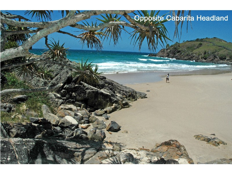 115 Tweed Coast Road, Cabarita Beach NSW 2488