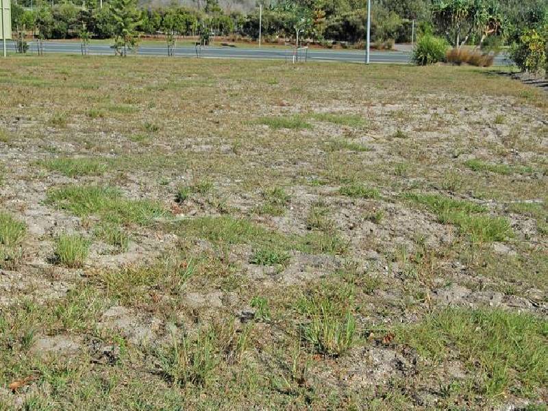 Lot 462 Avoca Avenue, Kingscliff NSW 2487