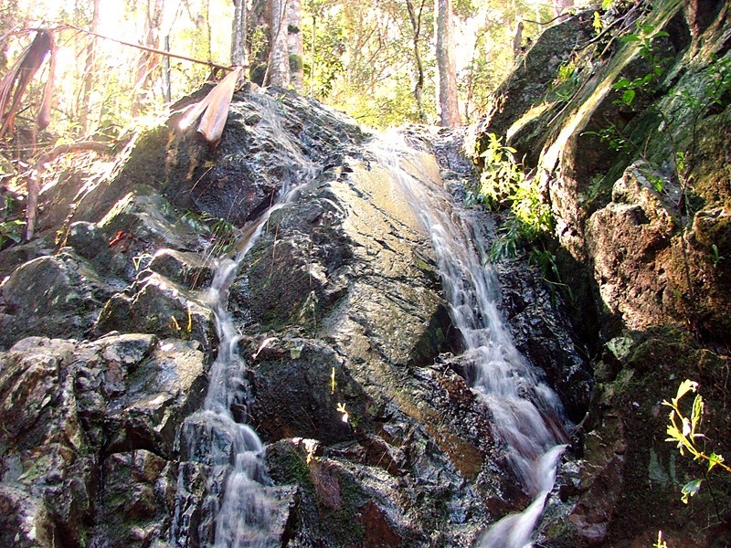 Lot 224 Sleepy Hollow Road, Mooball NSW 2483