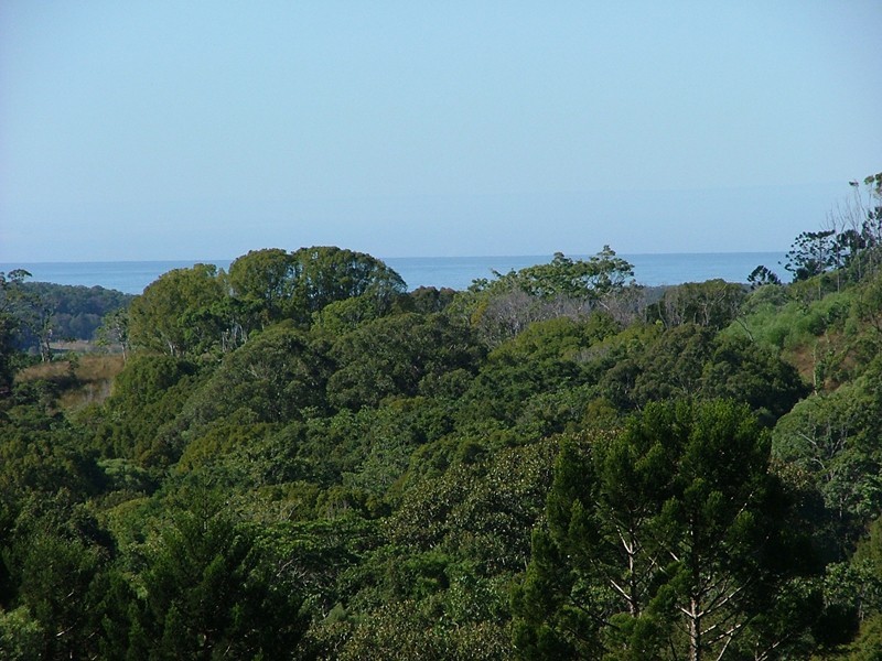 Lot 224 Sleepy Hollow Road, Mooball NSW 2483