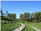 Lot 041 37 Muller Street, Palm Cove QLD 4879