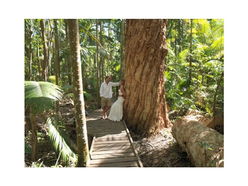 Lot 15 Muller Street, Argentea, Palm Cove QLD 4879