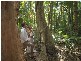 Lot 61 Sennfeld Close, Palm Cove QLD 4879