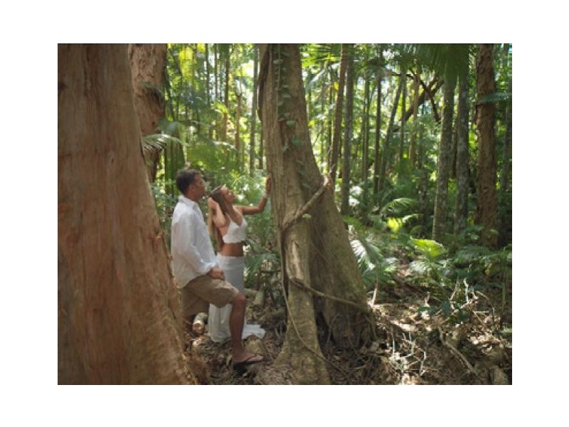 Lot 61 Sennfeld Close, Palm Cove QLD 4879