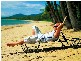 Lot 61 Sennfeld Close, Palm Cove QLD 4879