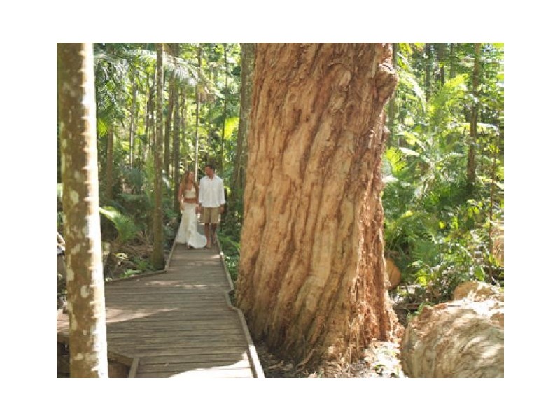 Lot 063 14 Sennfeld Close, Palm Cove QLD 4879