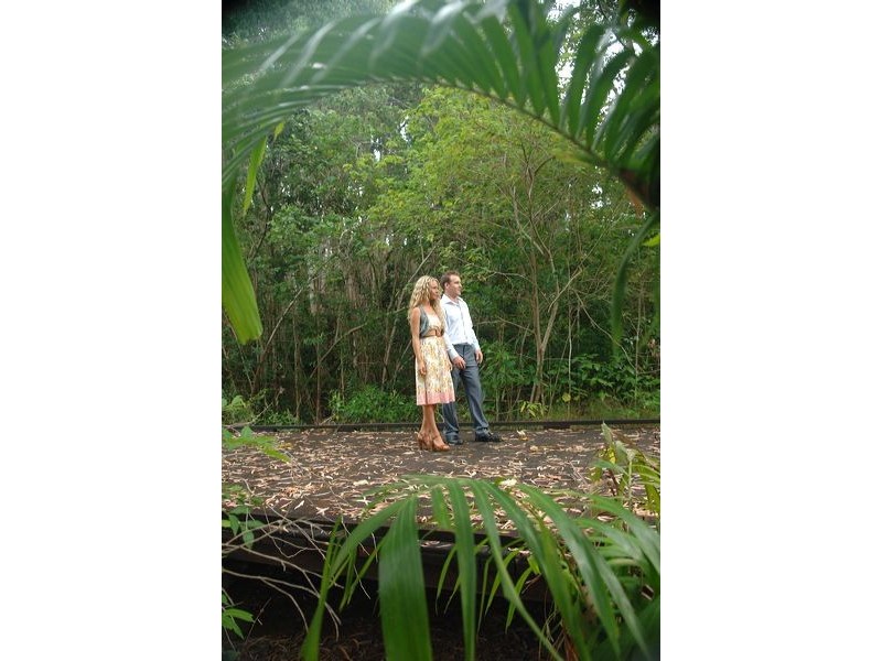 Aurelia Rd, Argentea, Palm Cove QLD 4879