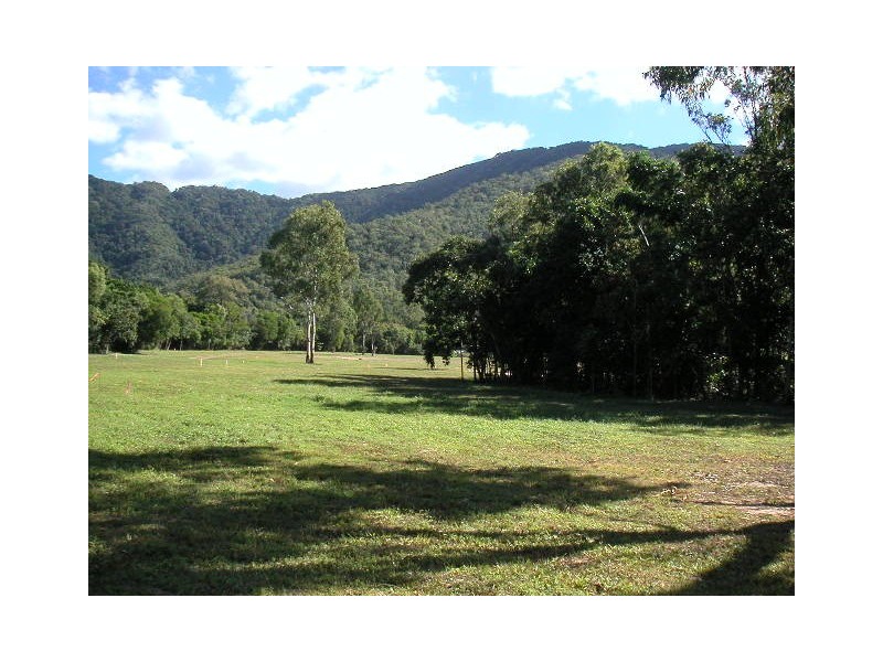 Aurelia Rd – ARGENTEA, Palm Cove QLD 4879