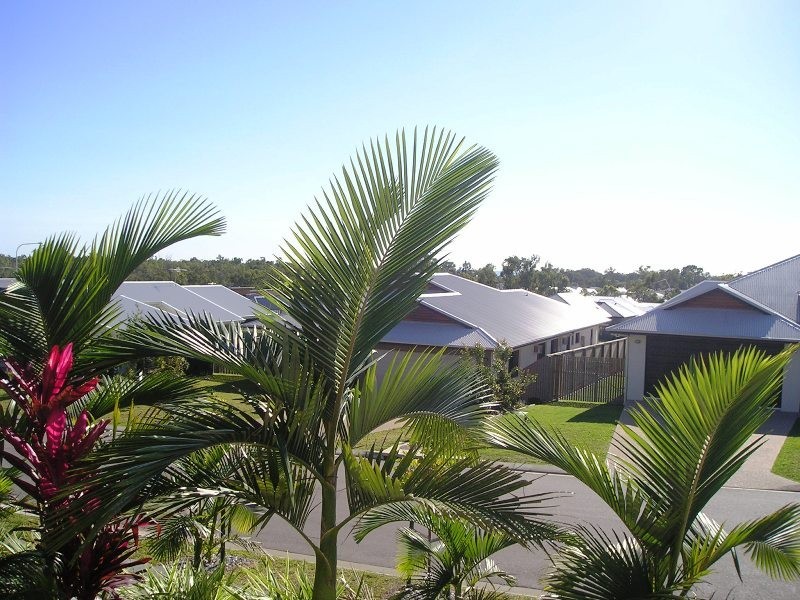 20 Shutehaven Street, Bushland Beach QLD 4818