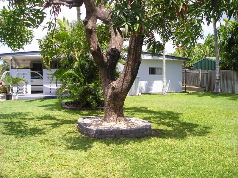 2/4 Buck Street, Mysterton QLD 4812