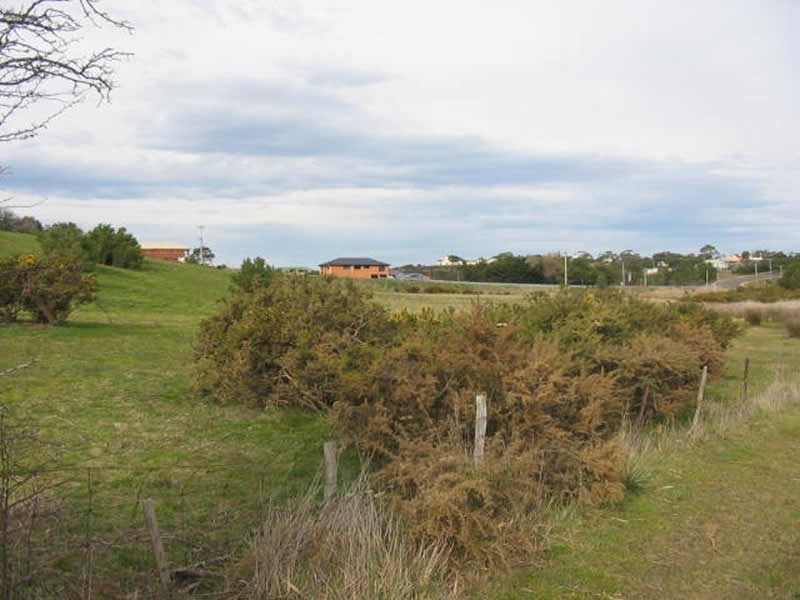 27 Victoria Street, Swansea TAS 7190