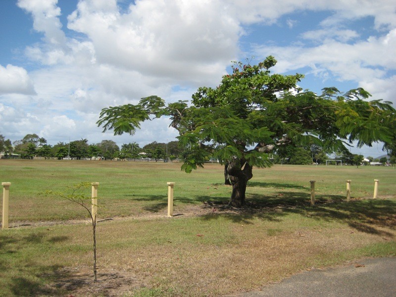 52 Tully Street, South Townsville QLD 4810