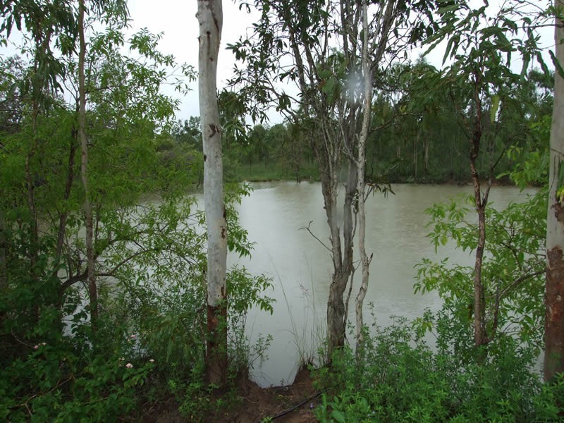 63 Wordsworth Road, Calcium QLD 4816