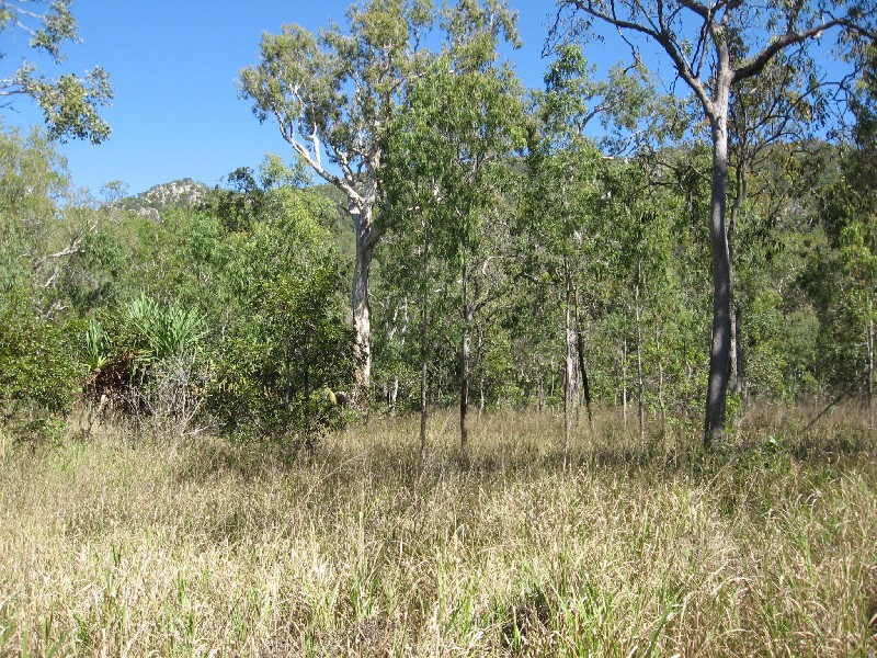 78 Mandalay Ave, Nelly Bay, Magnetic Island QLD 4819