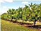84 Forestry Road, Townsville QLD 4810