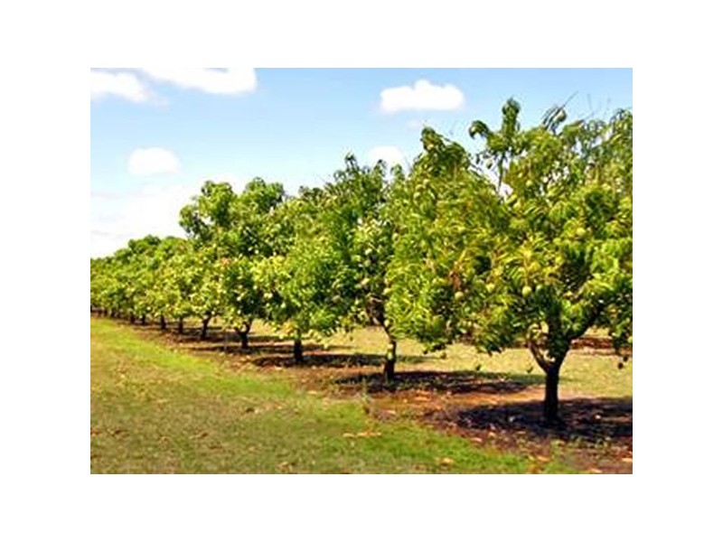 84 Forestry Road, Townsville QLD 4810