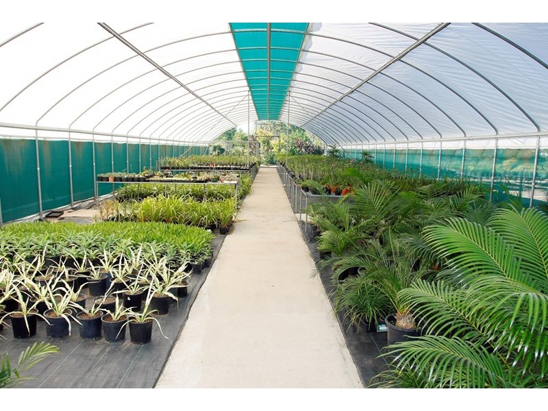 8 Alex Court, Alice River QLD 4817