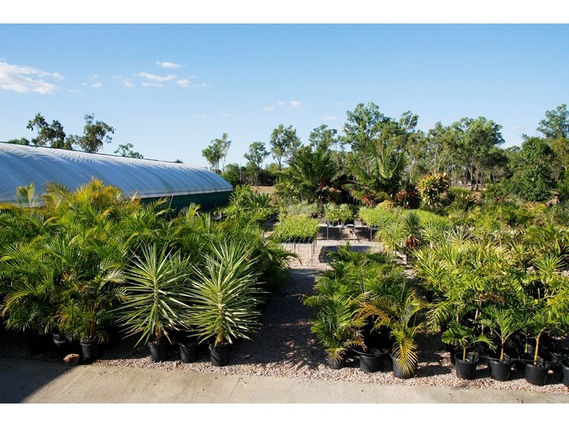 8 Alex Court, Alice River QLD 4817