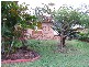 158 Shara Blvd, Ocean Shores NSW 2483
