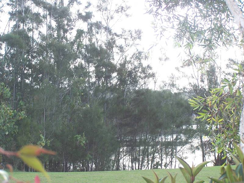 13 Rangal Road, South Golden Beach NSW 2483