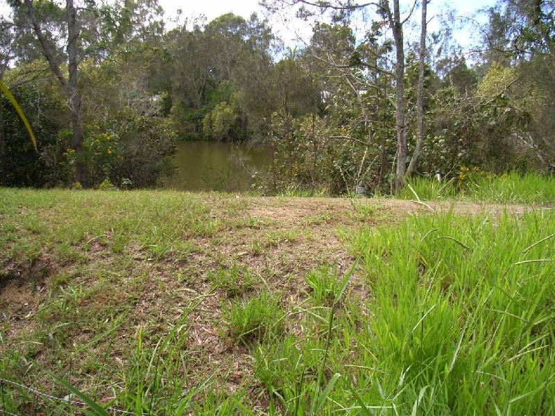 17 Elizabeth Avenue, South Golden Beach NSW 2483