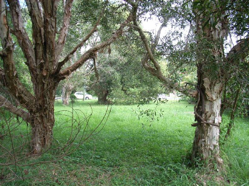 17 Elizabeth Avenue, South Golden Beach NSW 2483