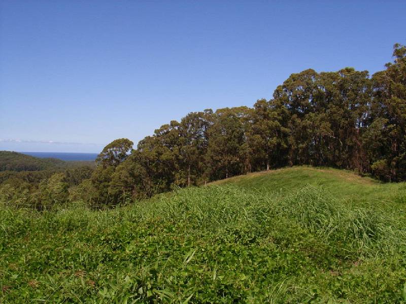 Lot 2 Billinudgel road, Billinudgel NSW 2483