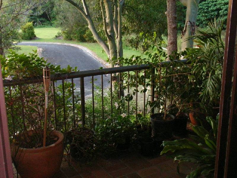 1/4 Bindaree Way, Ocean Shores NSW 2483