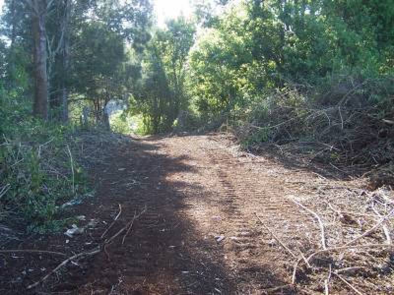 Binna Burra Road, Federal NSW 2480