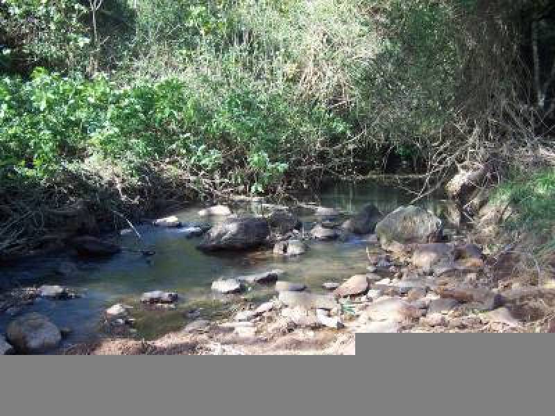 Binna Burra Road, Federal NSW 2480