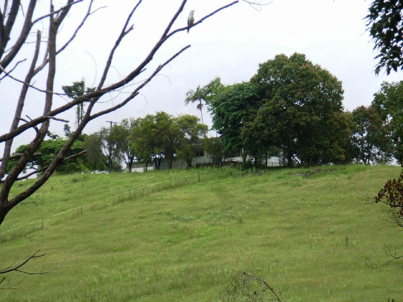 49  Blackneys Road, Stokers Siding NSW 2484
