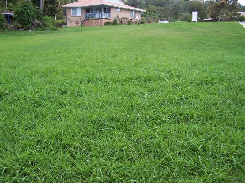 5 Colli Close, Ocean Shores NSW 2483