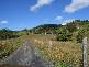 57 Crabbes Creek Road, Crabbes Creek NSW 2483