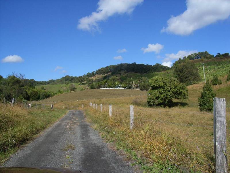 57 Crabbes Creek Road, Crabbes Creek NSW 2483