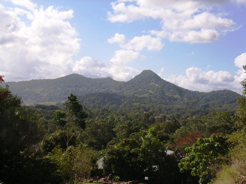 18 Gardenia Court, Mullumbimby NSW 2482