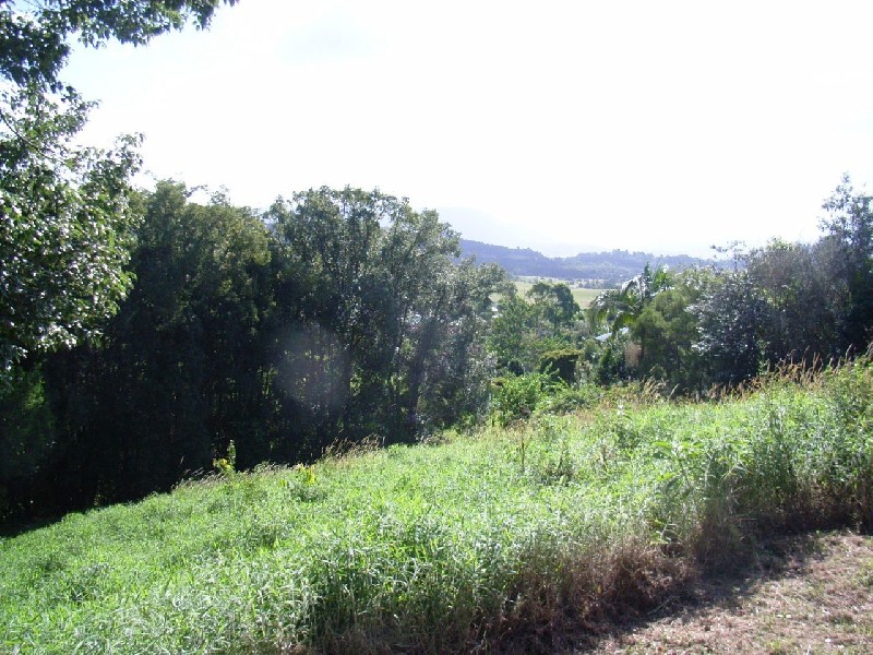 18 Gardenia Court, Mullumbimby NSW 2482