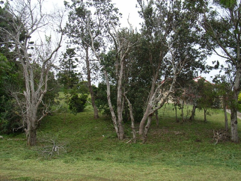 4a Goondooloo Drive, Ocean Shores NSW 2483