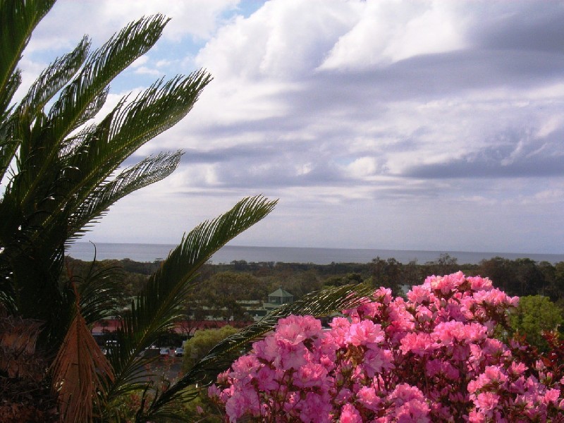 12 Jarrah Crescent, Ocean Shores NSW 2483