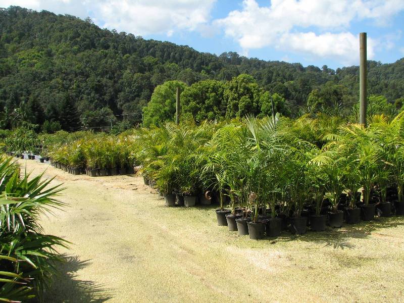 Lot 5 Kiely’s Road, Mooball NSW 2483