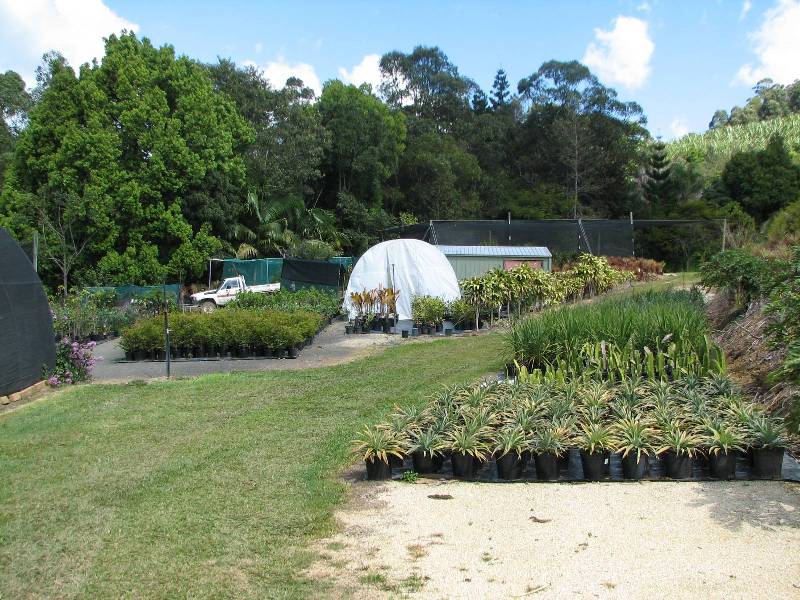 Lot 5 Kiely’s Road, Mooball NSW 2483