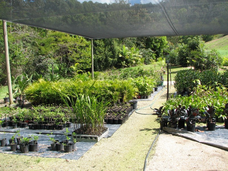 Lot 5 Kiely’s Road, Mooball NSW 2483