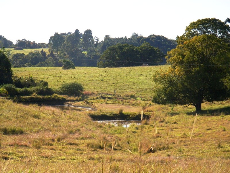 Lot 2 DP 553034 McAuleys Lane, Mullumbimby NSW 2482