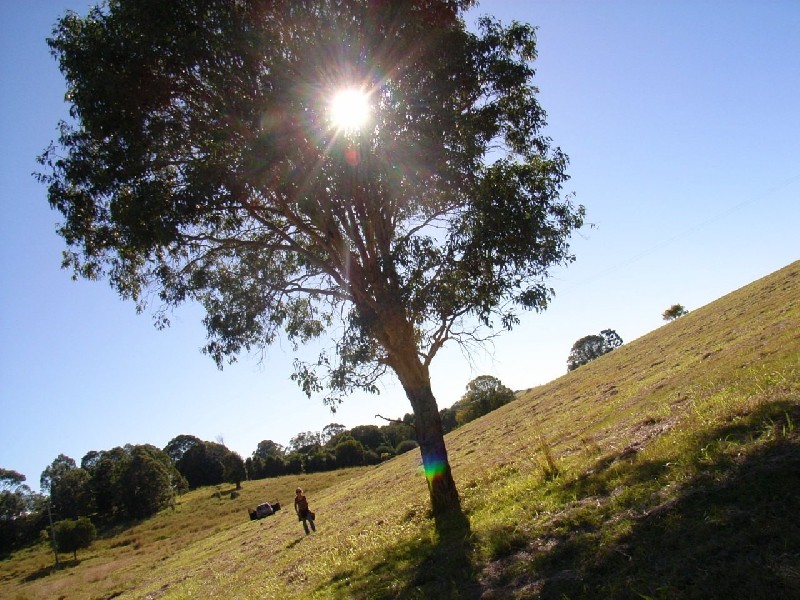 Lot 2 DP 553034 McAuleys Lane, Mullumbimby NSW 2482