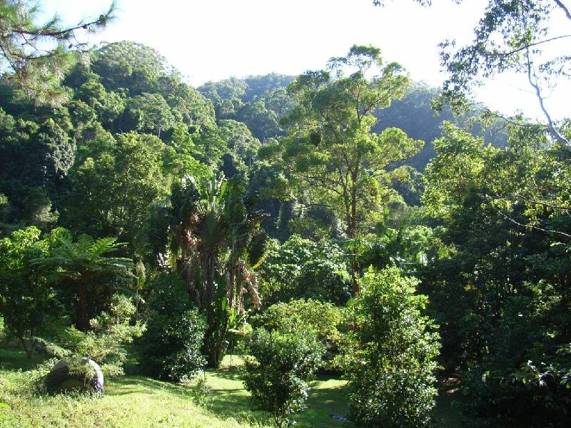 Lot 1 Middle Pocket Road, Billinudgel NSW 2483